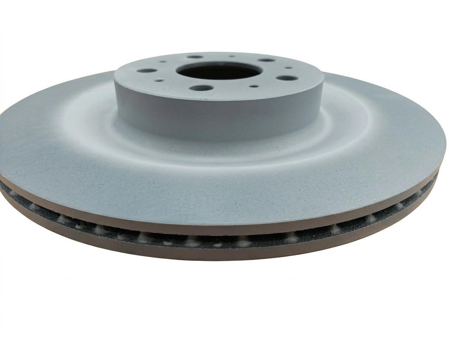 Rear Brake Rotor - Rassini 1027632-00-B - Tesla part photo